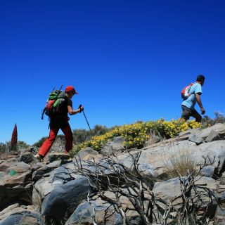 From Tenerife: Private Hiking Tour in Teide National Park