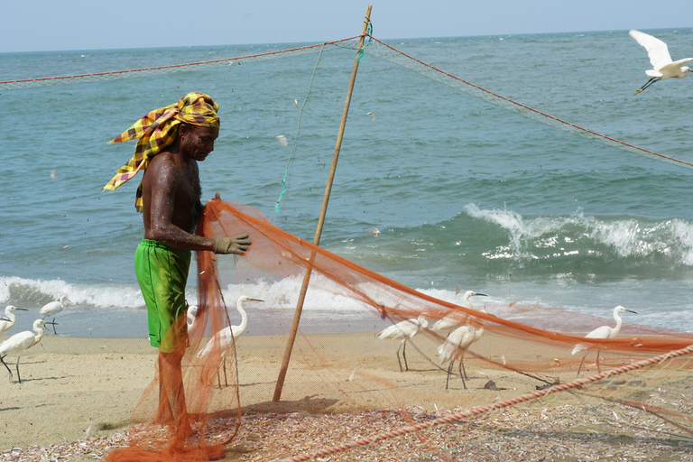 Negombo &amp; Colombo: Ganztägige Tour mit Mittagessen