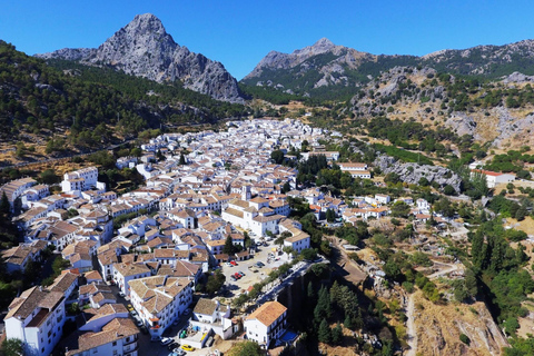 Desde Cádiz: excursión privada de un día a los pueblos blancos de Andalucía