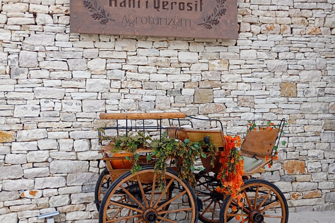 From Tirana: Berat Exploring Tour, Belshi Lake & Agrotourism