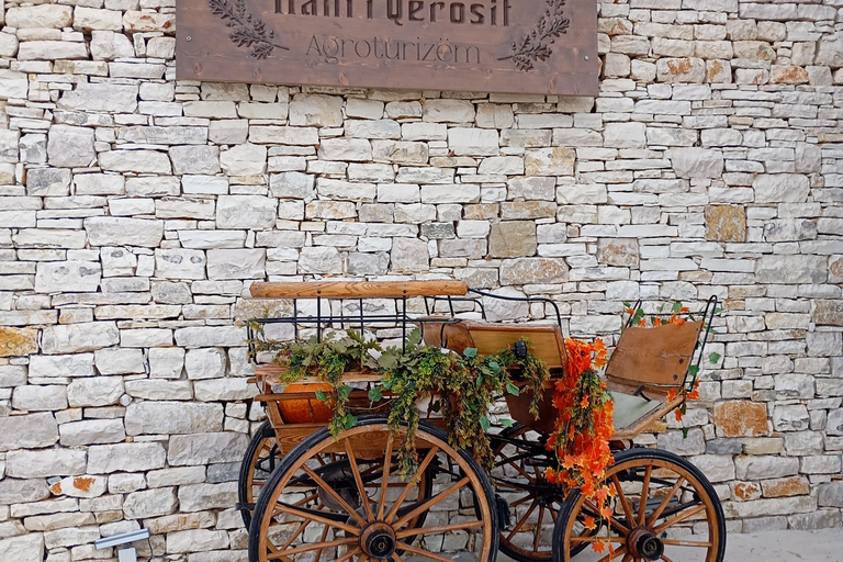 From Tirana: Berat Exploring Tour, Belshi Lake & Agrotourism