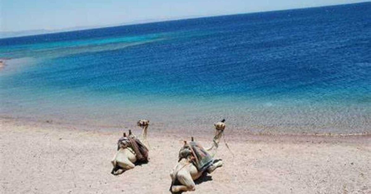 Dahab Blue Hole Ras Abu GalumBlue Lagoon Snorkeling Trip GetYourGuide