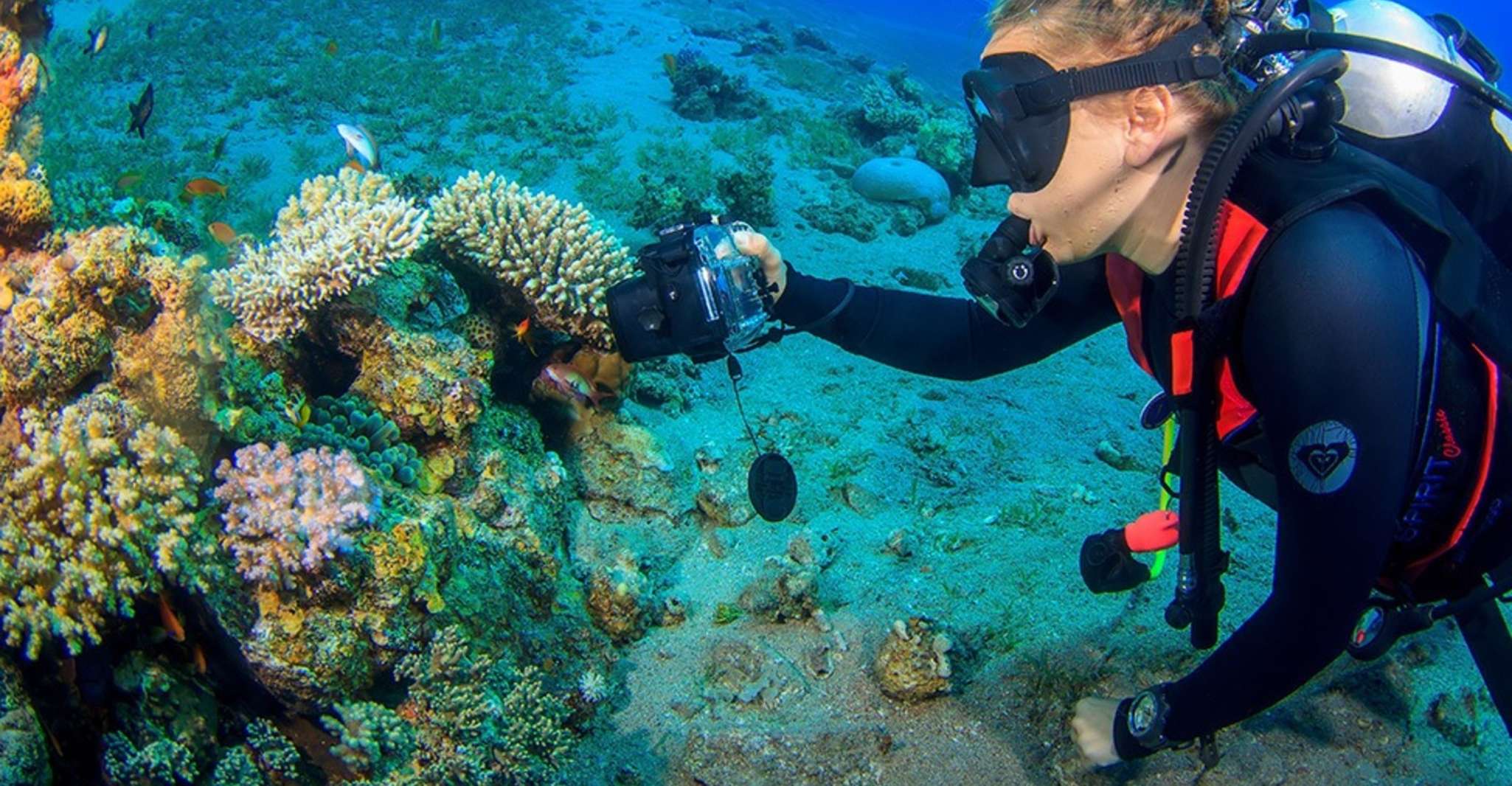 Dahab: Blue Hole Ras Abu Galum-Blue Lagoon Snorkeling Trip - TourMega