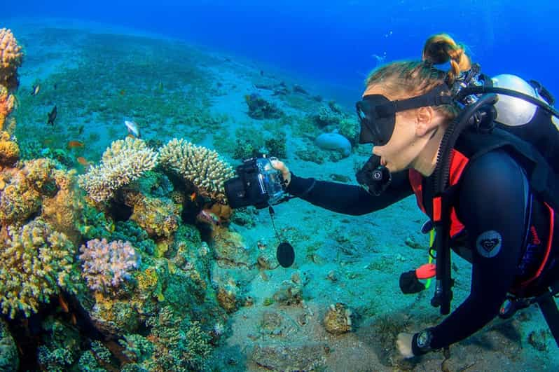 Dahab: Blue Hole Ras Abu Galum-Blue Lagoon Snorkeling Trip | GetYourGuide