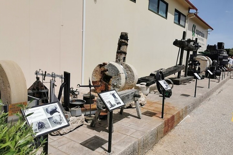 Zakynthos : Visite des îles Marathonisi et Cameo et des grottes de KeriZakynthos : Marathonisi et îles Cameo & grottes de Keri Tou