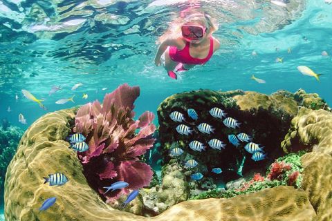 From Dahab: Three Pools Guided Snorkeling Tour with Lunch
