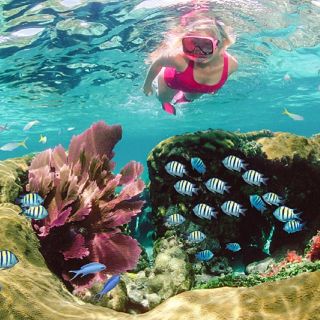 From Dahab: Three Pools Guided Snorkeling Tour with Lunch