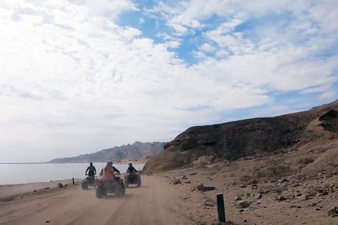 Dahab: Desert Quad Bike Tour at Sunset with Bedouin Tea