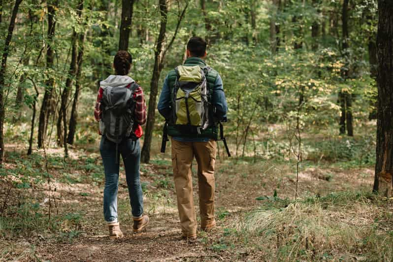 Goslar: emocionante juego autoguiado al aire libre y caminata