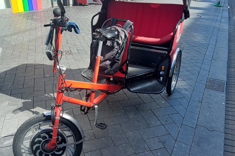 Amsterdam: Private City Highlights Tour przez Rickshaw1-godzinna wycieczka po mieście