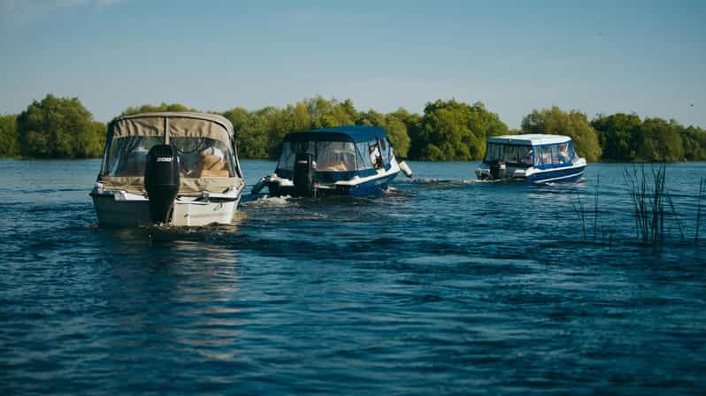 Sulina: Danube Delta Boat Tour with Wildlife Spotting