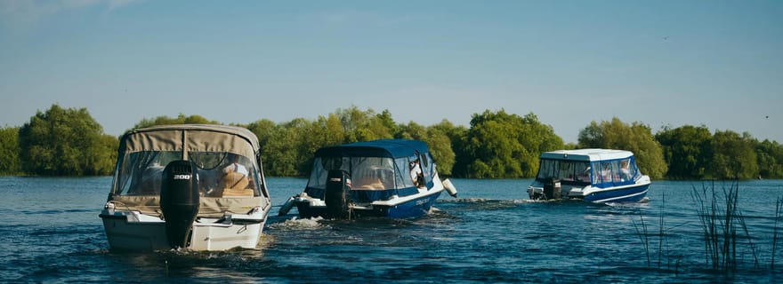 Sulina : tour en bateau dans le delta du Danube avec observation de la faune sauvage
