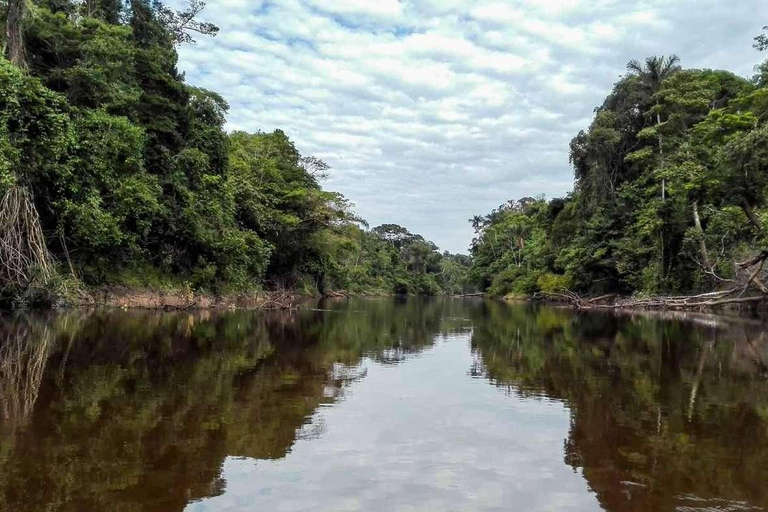 Excursão de 4 dias ao Pacaya Samiria