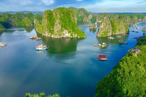 Cat Ba Island: Half-Day Butterfly Valley Trek with Lunch