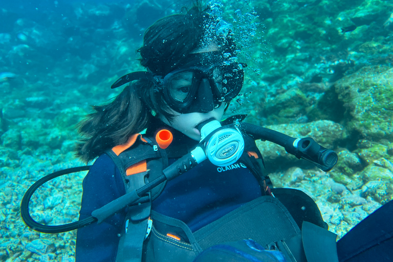 Try diving for the first time in turtle areaCandelaria, Tenerife: Beginner Scuba Diving Course