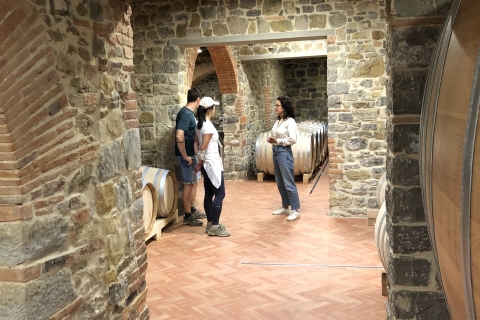 Florencia: Toscana y Chianti Classico Trek & Wine con almuerzoExperiencia en grupos pequeños