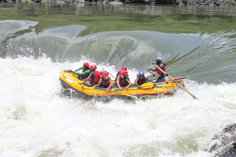 High-Water Zambezi Rafting from Victoria Falls & Livingstone