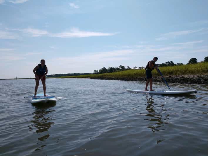 Hilton Head Island Guided Stand Up Paddleboard Tour GetYourGuide