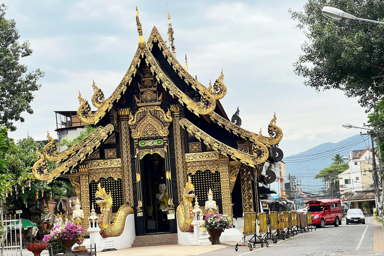 Chiang Mai: Old City Walking Tour with Temples & History Small Group Without Entry Fees