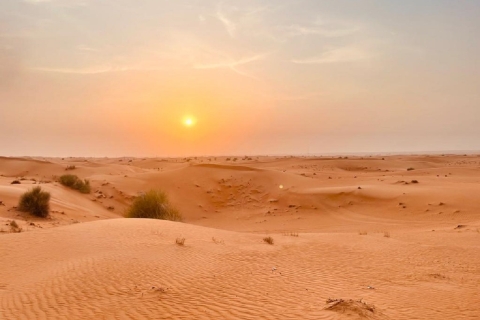 Dubai: Red Dunes Morning Desert quad-, buggy- of 4x4-ritOchtendwoestijnsafari met quadrit