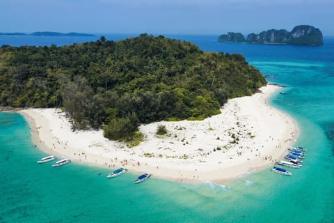 Fra Phuket: Maya, Phi Phi og Bamboo Island med lunsjbuffé