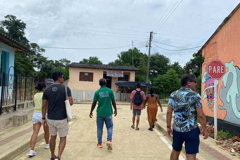 Tour palenque with natives