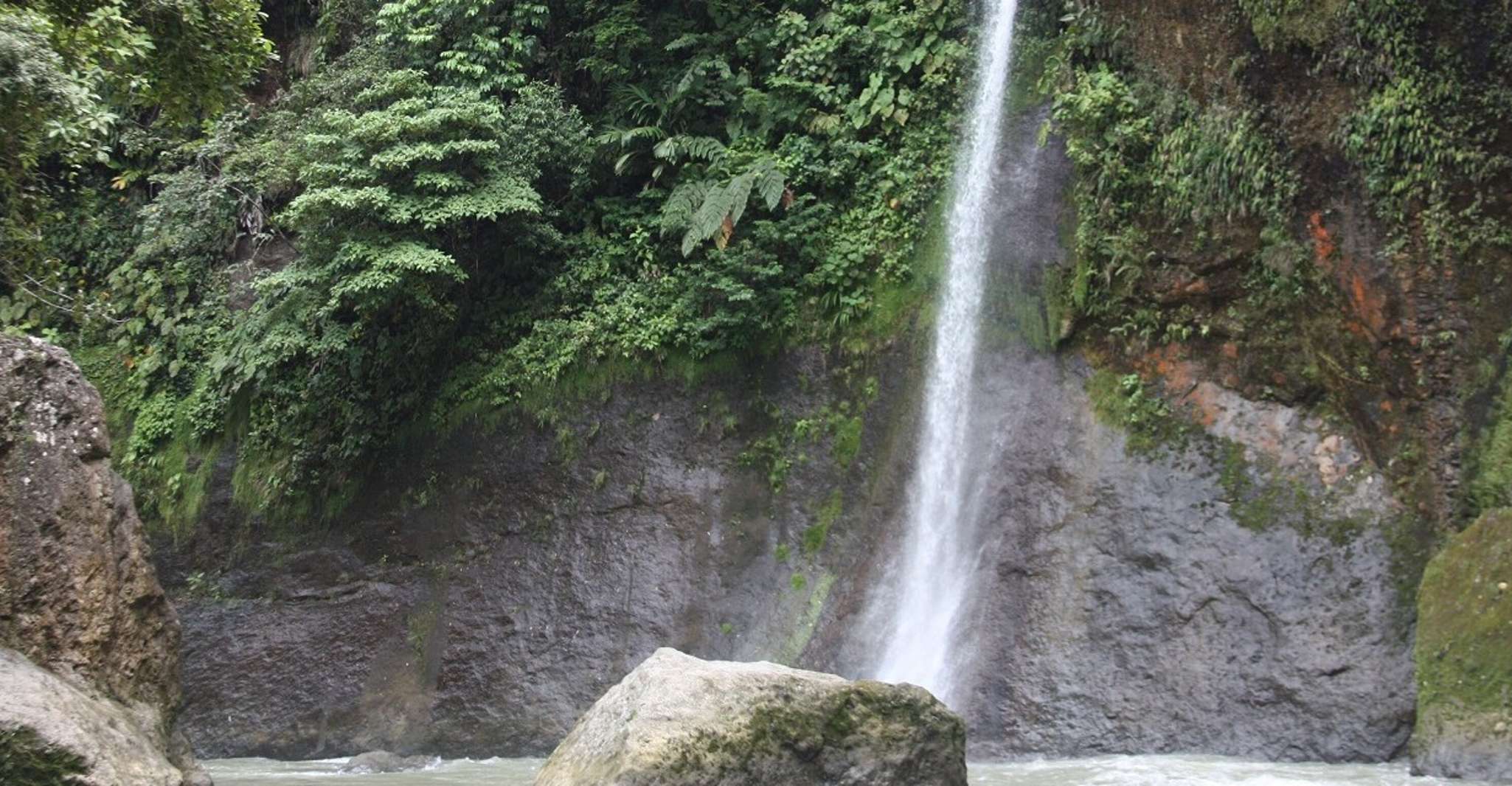 From San José, Pacuare River White Water Rafting Day Trip - Housity