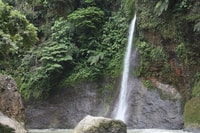 Desde San José, Pacuare River White White Rafting Day Trip - Housity
