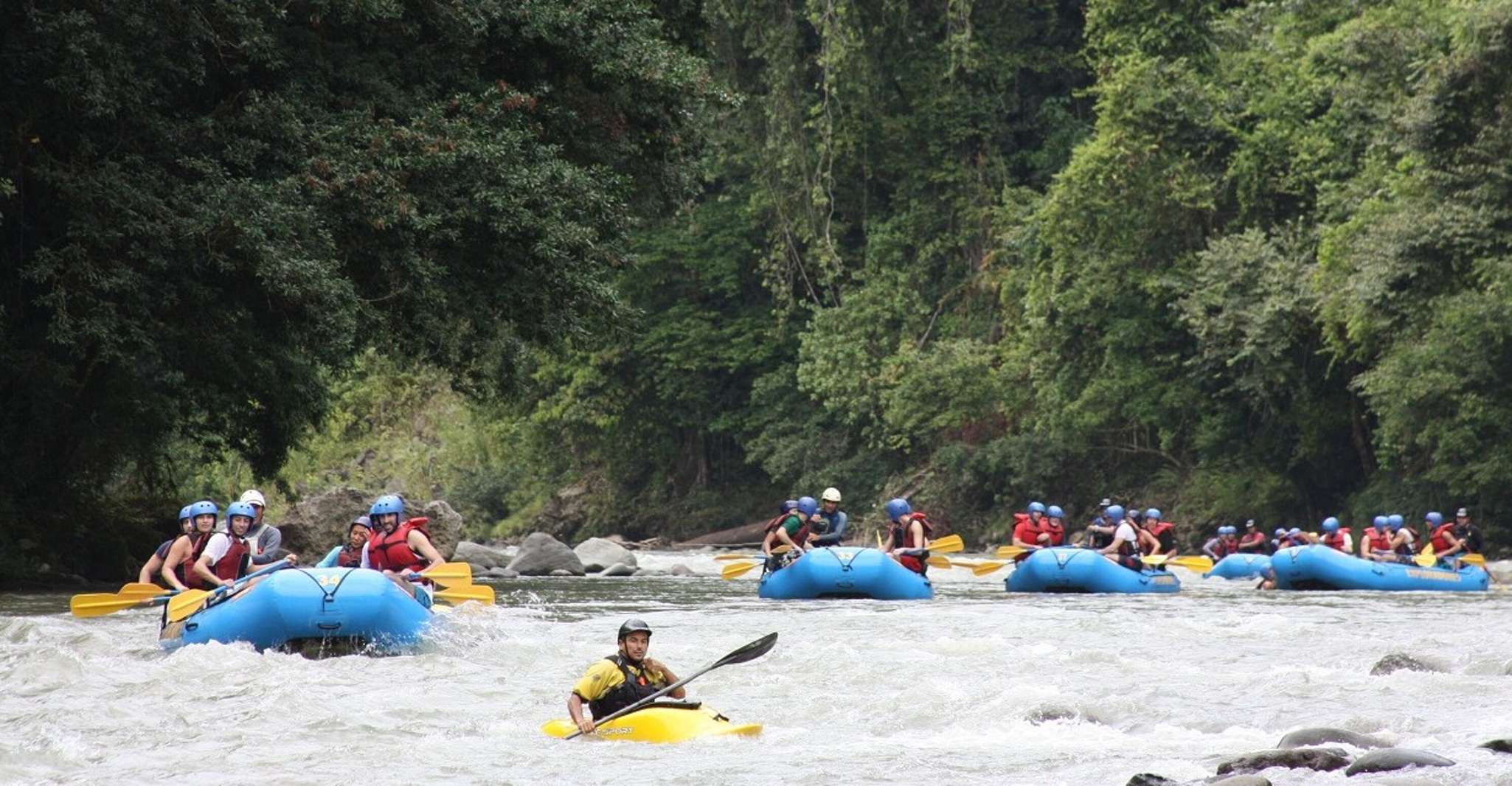 From San José, Pacuare River White Water Rafting Day Trip - Housity