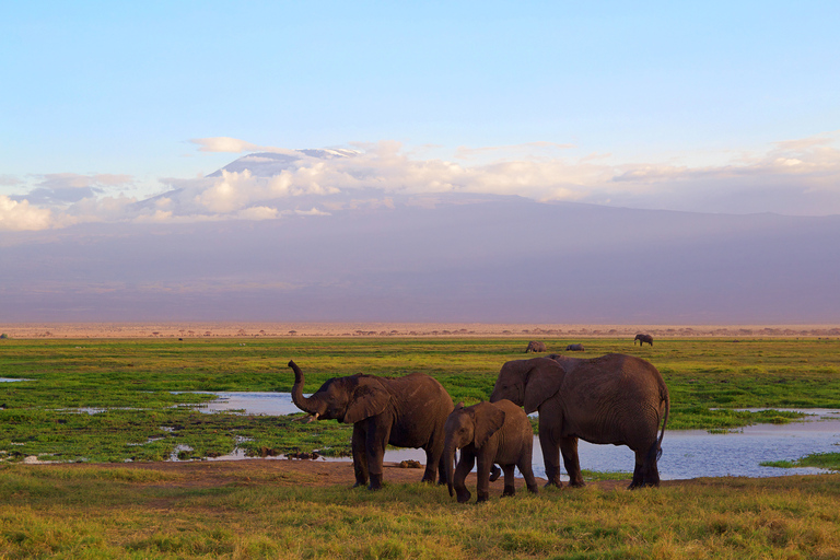 3 giorni di safari con gli elefanti ad AmboseliSafari all&#039;Amboseli di 3 giorni