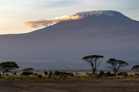 3 giorni di safari con gli elefanti ad AmboseliSafari all&#039;Amboseli di 3 giorni