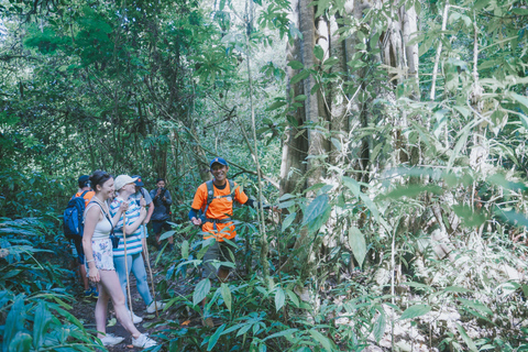 Bali: Munduk Waterfalls Trek, Twin Lakes and Temple TourTour with Transfer from Munduk Area