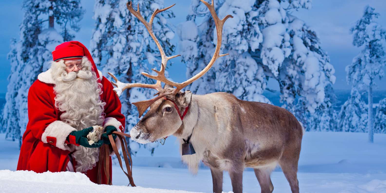 Trip To Arctic Circle, Santa Claus Village And Santas Reindeer