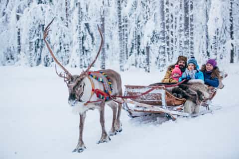 Rovaniemi: Snowmobile Safari, Reindeer and Husky Farm