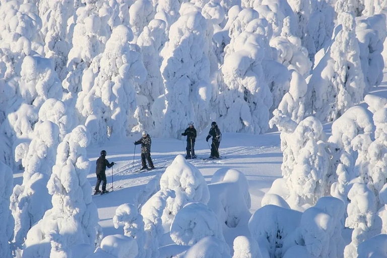 Rovaniemi: Cross Country Wilderness Ski Adventure