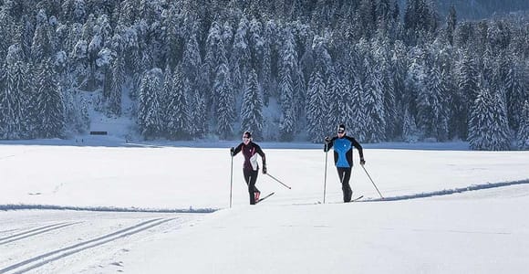 Rovaniemi: Cross Country Wilderness Ski Adventure