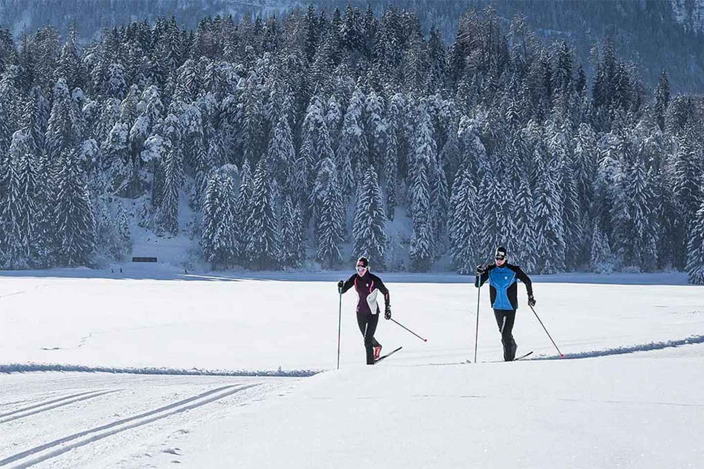 Rovaniemi: Cross Country Wilderness Ski Adventure