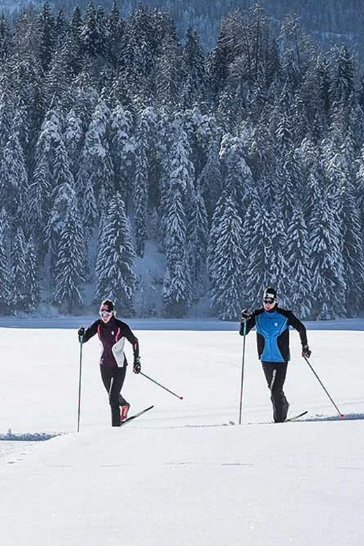 Giacche da Sci : Sci Alpino, Sci Alpinismo, Sci di Fondo - Pagina 8