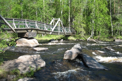 Z Rovaniemi: wycieczka piesza po lesie Vikaköngäs z grillem