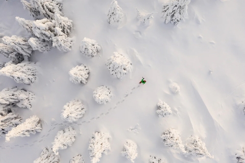 Rovaniemi: hiken en sneeuwschoenwandelen in Lapland