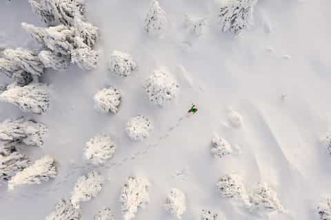 Rovaniemi: Hiking and Snowshoeing Adventure in Lapland