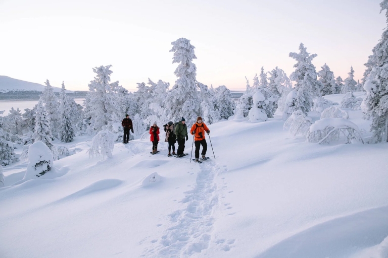 Rovaniemi: aventura a pie y con raquetas de nieve en Laponia