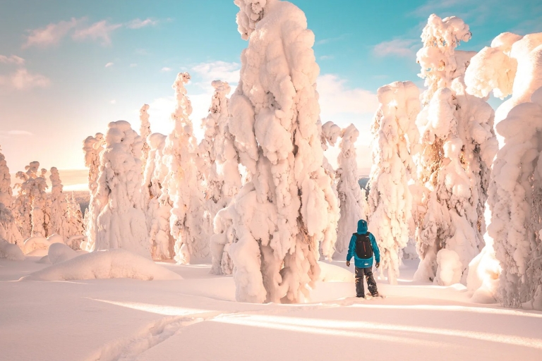 Rovaniemi : aventure randonnée et raquettes en Laponie