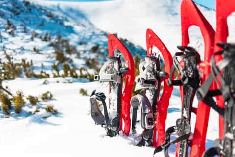 Rovaniemi: Hiking and Snowshoeing Adventure in Lapland