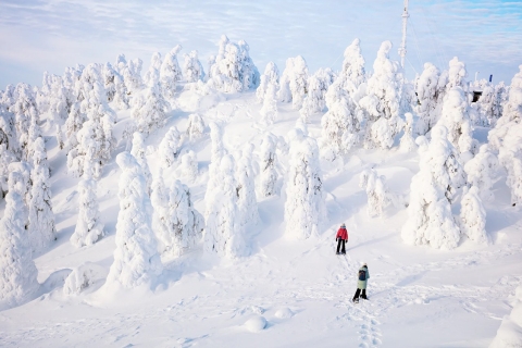 Rovaniemi: Wędrówka i spacer w rakietach śnieżnych w Laponii
