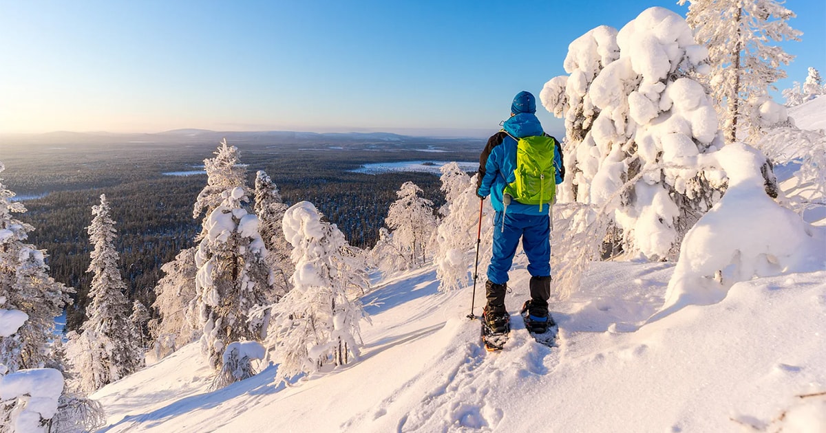 Rovaniemi Hiking and Snowshoeing Adventure in Lapland GetYourGuide