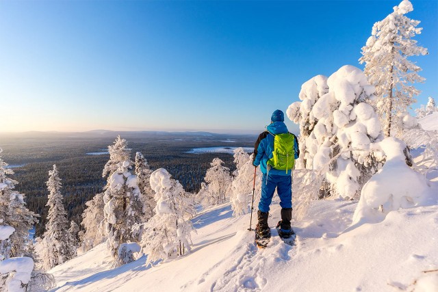 Visit Rovaniemi Hiking and Snowshoeing Adventure in Lapland in Rovaniemi