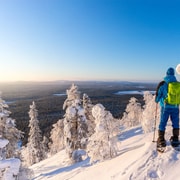 Rovaniemi : Aventure de randonnée et de raquettes en Laponie