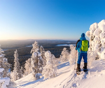 Rovaniemi: Hiking and Snowshoeing Adventure in Lapland