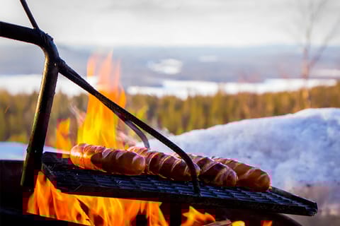 Lapland: The Frozen Waterfalls of Korouoma Tour